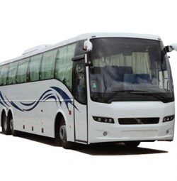 49-seat-bus